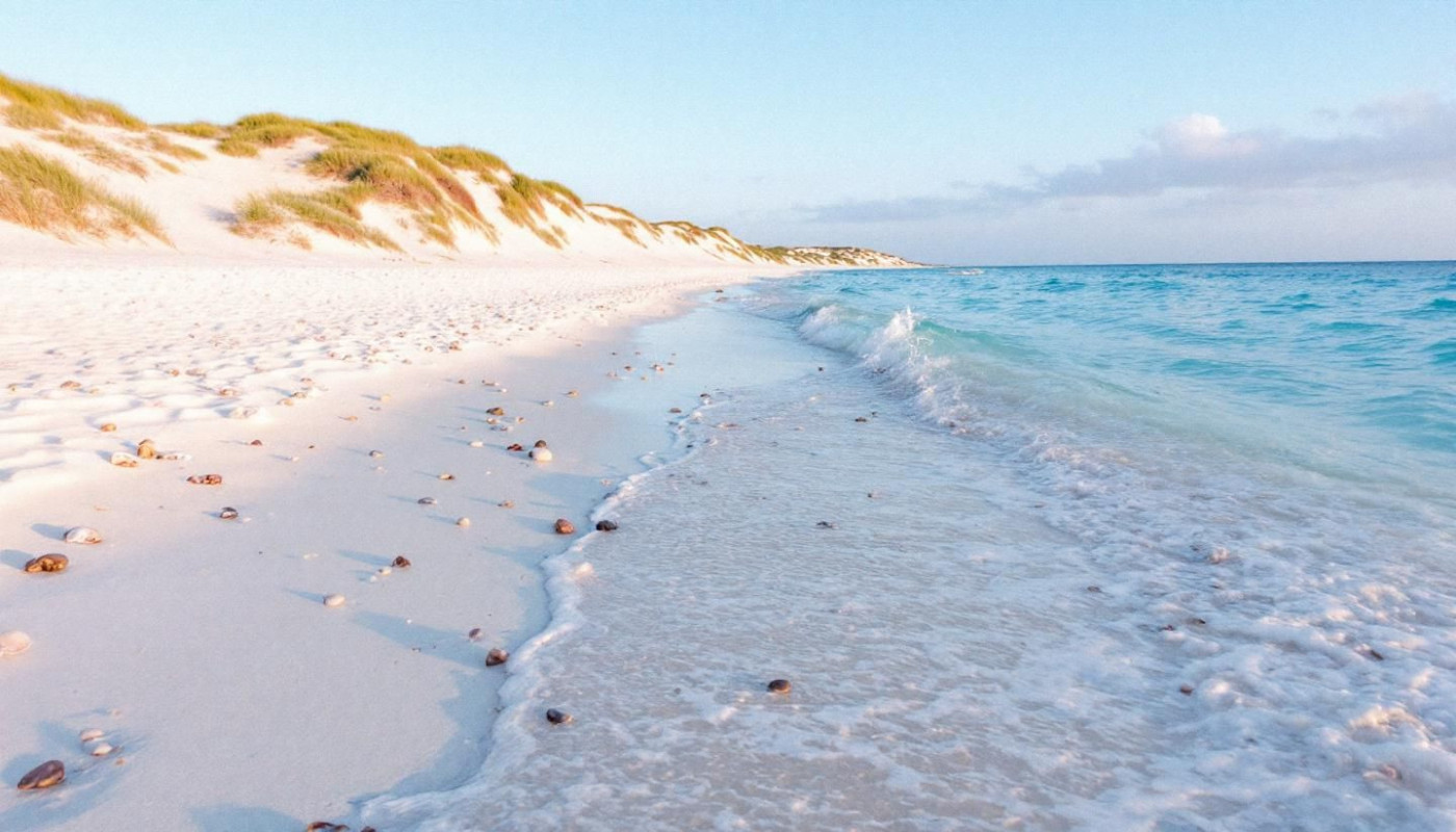 Guide ultime pour explorer les joyaux cachés des plages landaises